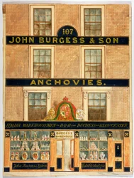 Facade of John Burgess & Son, Warehousemen to the Duchess of Gloucester